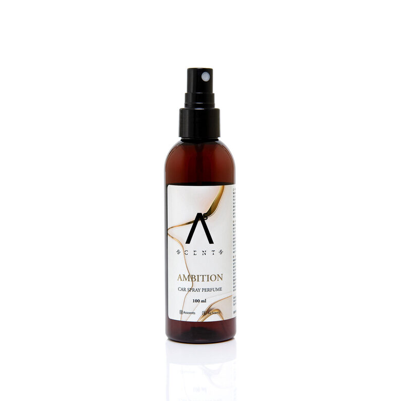 Purškiamas automobilio gaiviklis 100ml