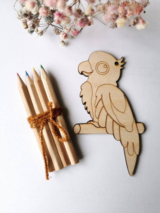 Medinė papūga spalvinimui